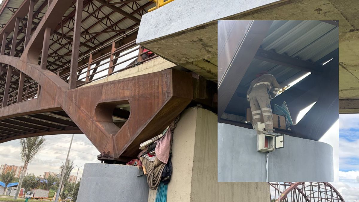 Hallan vivienda dentro de columna del Puente de Guadua