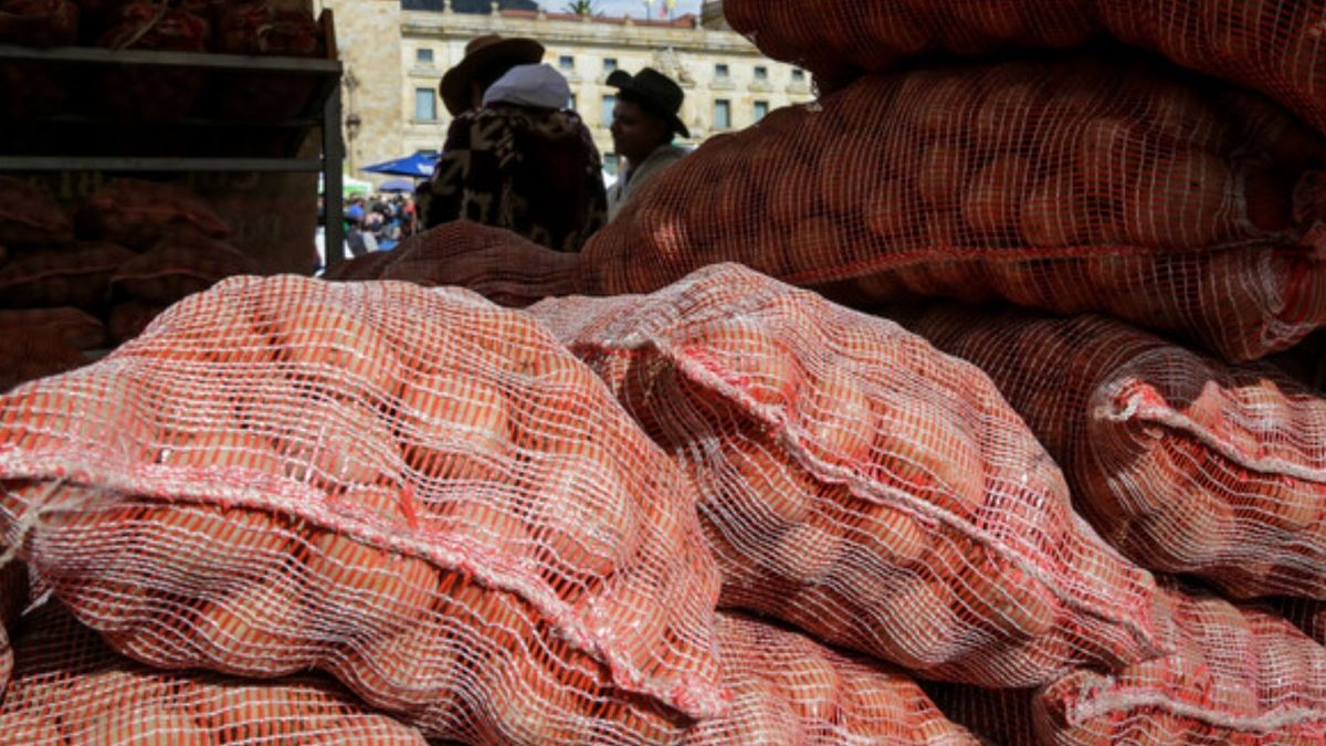 Corabastos 1 de junio: alimentos que más bajaron hoy