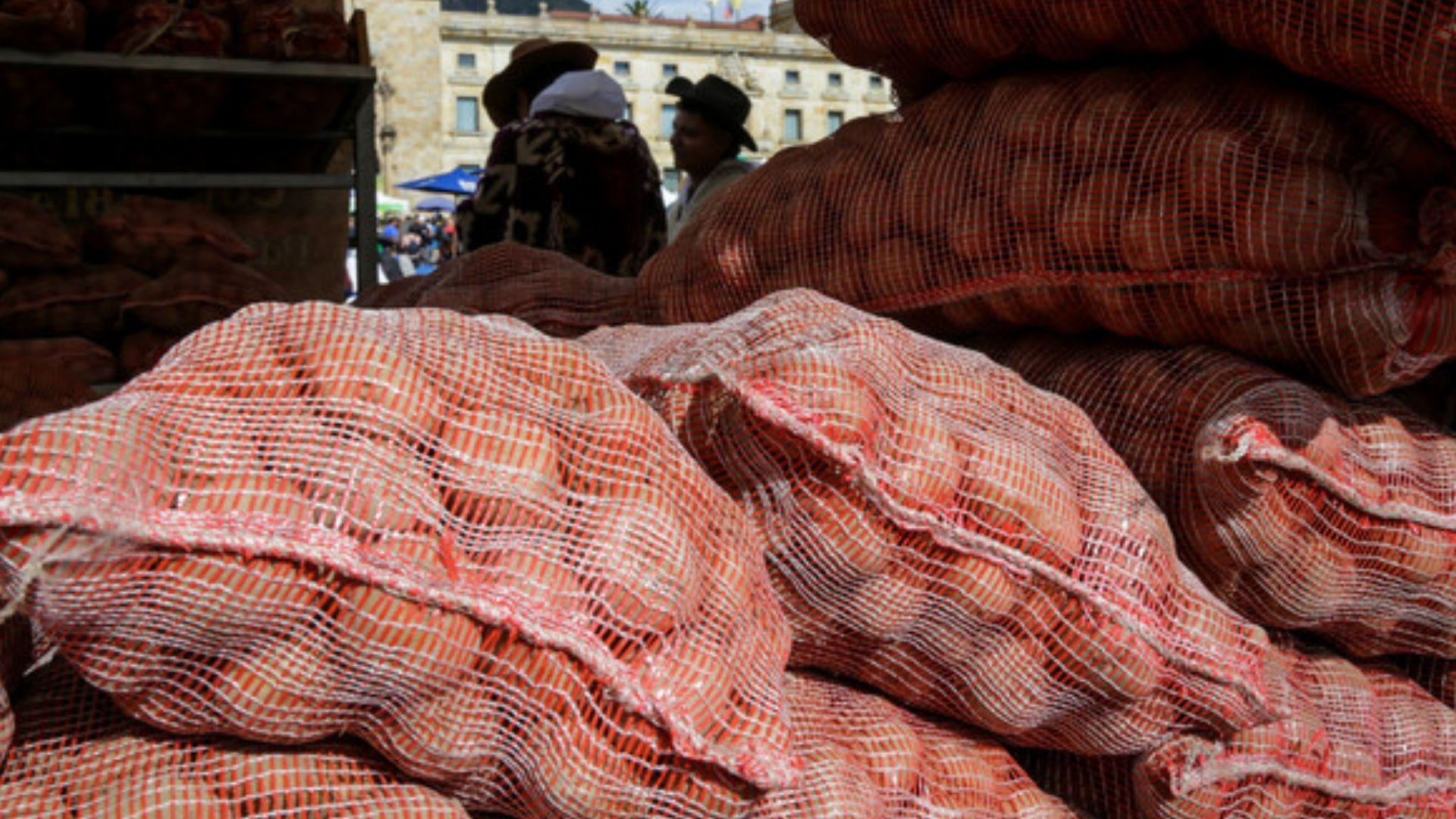 Corabastos 1 de junio: alimentos que más bajaron hoy
