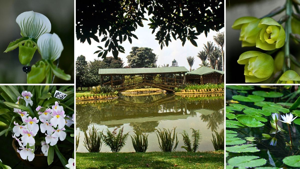 Jardín Botánico de Bogotá celebra la Semana Ambiental 2026