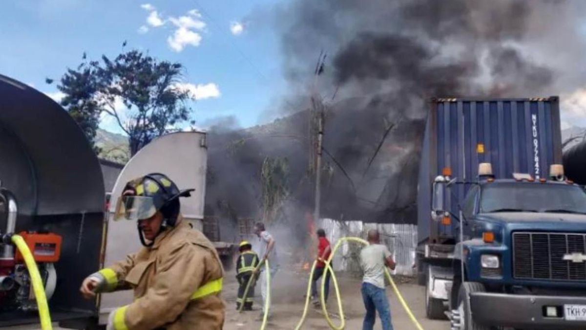 Incendio en zona vegetal de Copacabana.