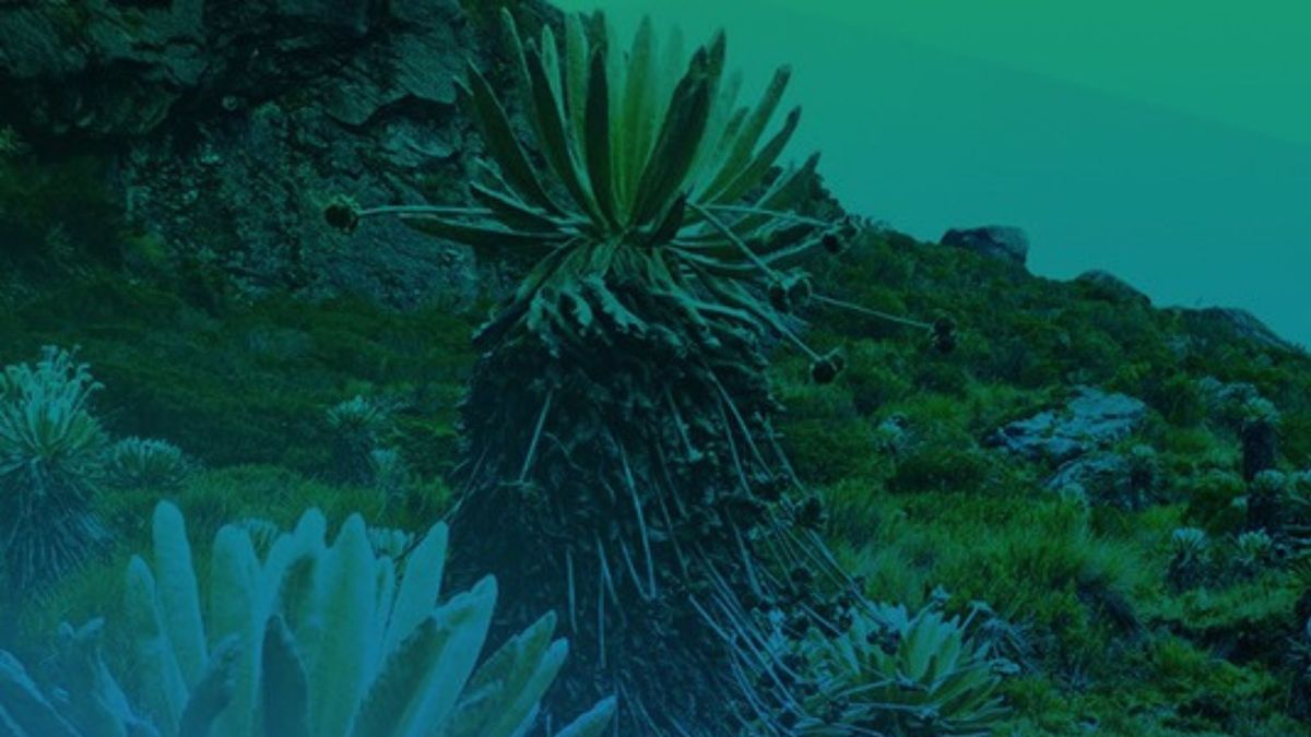 Recursos naturales en Santander