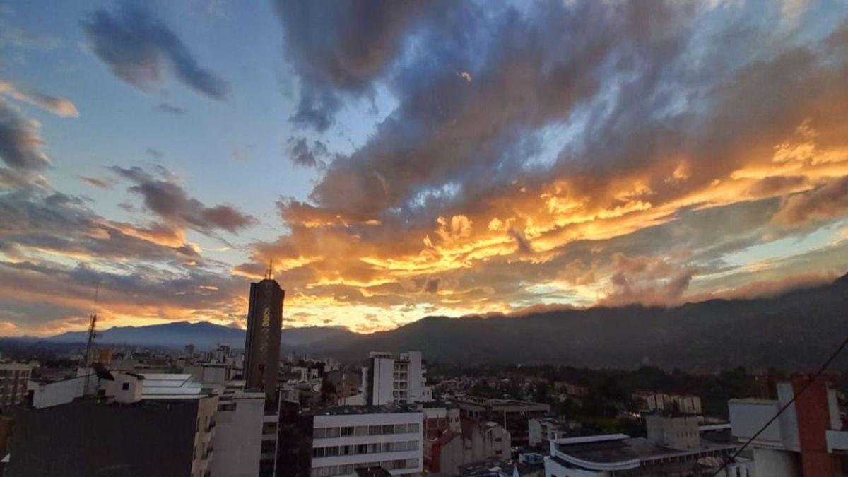 Se genera alarma en el Quindío con 12 casos de suicidio consumados en 2026