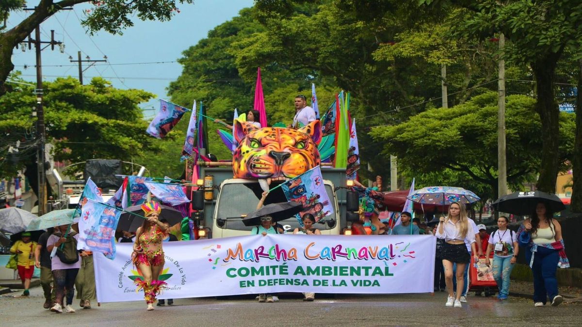 Gran Marcha Carnaval en Ibagué | Manifestación Pacifica | Medio Ambiente | Junio 2026