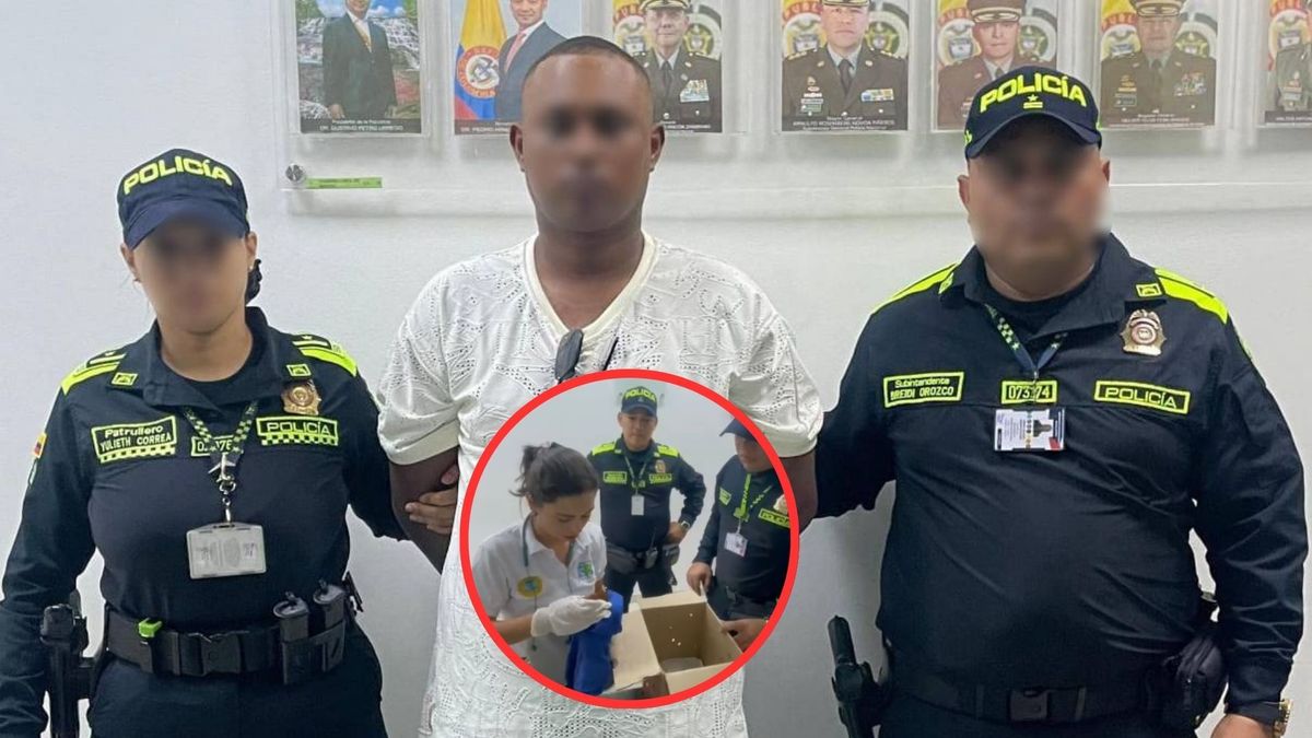 Hombre capturado en el Aeropuerto de Cartagena cuando intentaba traficar ardillas