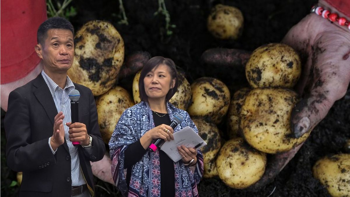 Cundinamarca implementa modelo japonés para vender cosechas