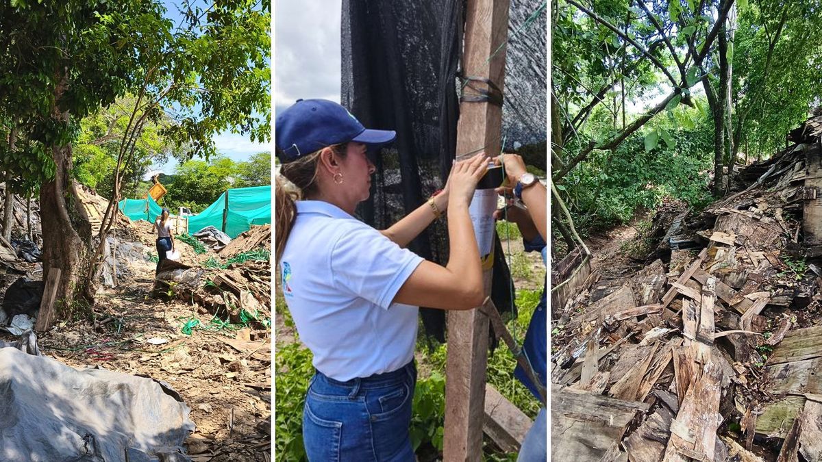 ¿Qué ocurrió en el proyecto solar de Guaduas, Cundinamarca?