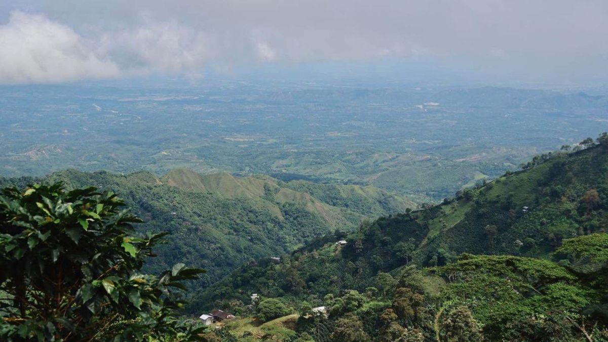 Ruralidad Ortega | Ortega, Tolima | Ortega