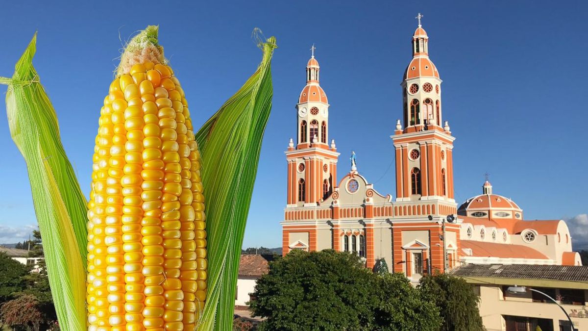 Festival de la Mazorca en Simijaca 2026: programación completa del 12 al 14 de junio