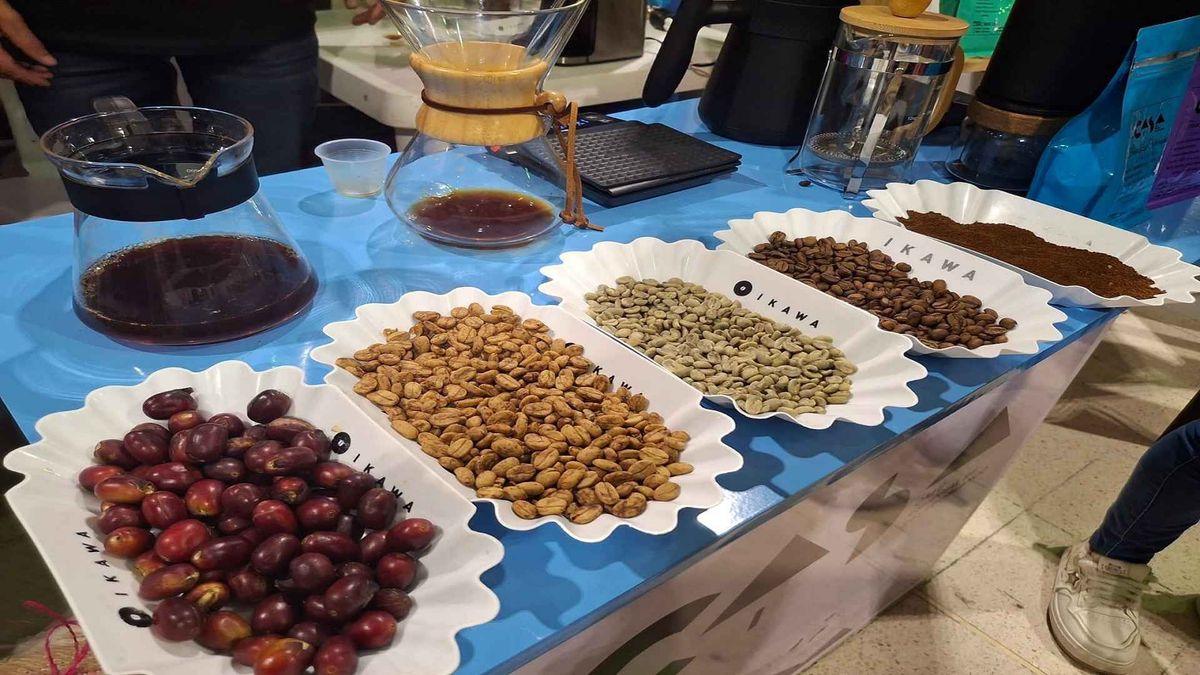 Huila contará con la nueva Escuela Universitaria del Café