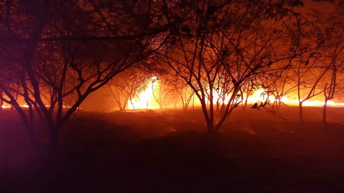 Diez municipios afectados por incendio forestales en el Huila