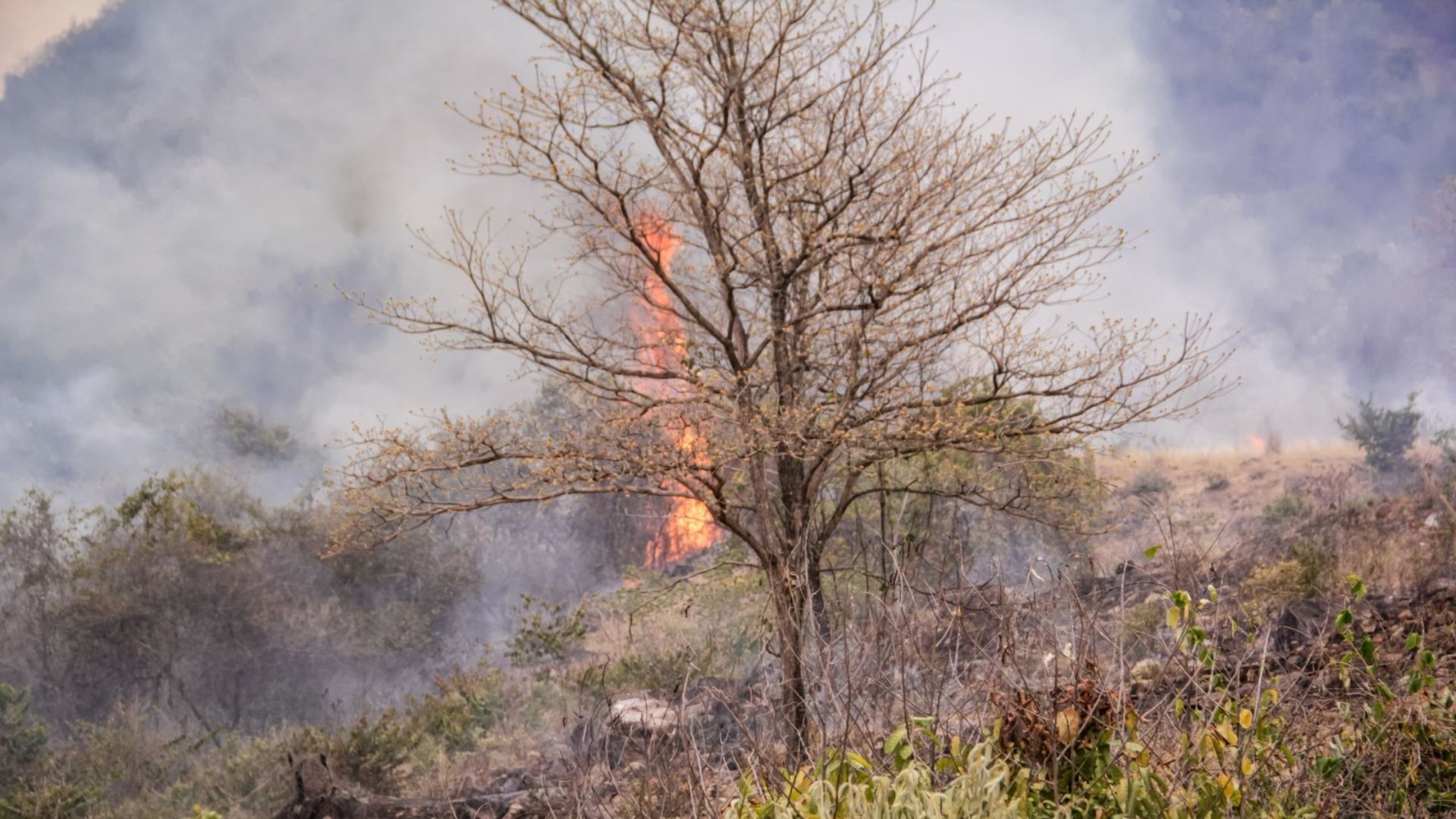 Cortolima activa plan por fenómeno de El Niño en Tolima