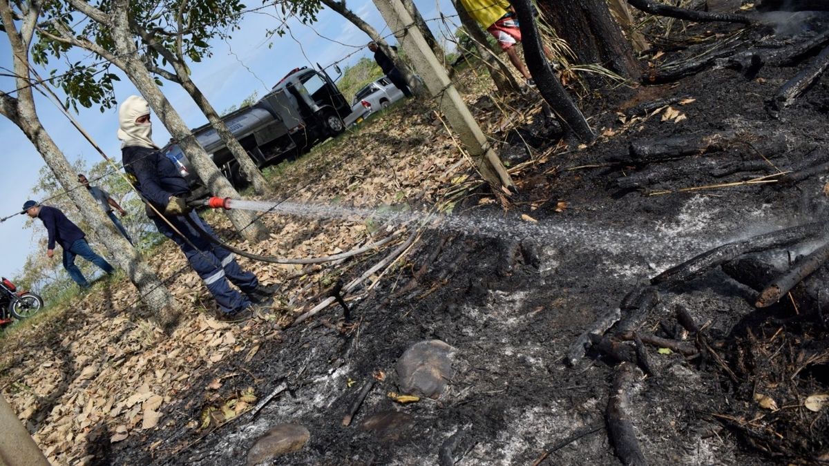 Cortolima activa plan por fenómeno de El Niño en Tolima