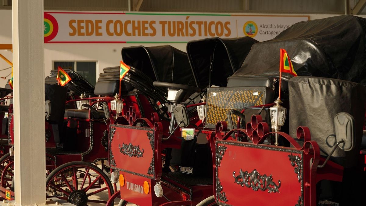 Coches eléctricos en Cartagena dedicados al turismo
