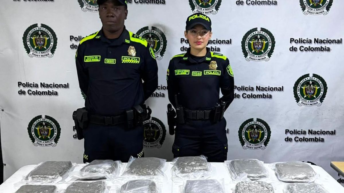 Olfato canino frena cargamento de droga oculto en bus intermunicipal en Barranquilla