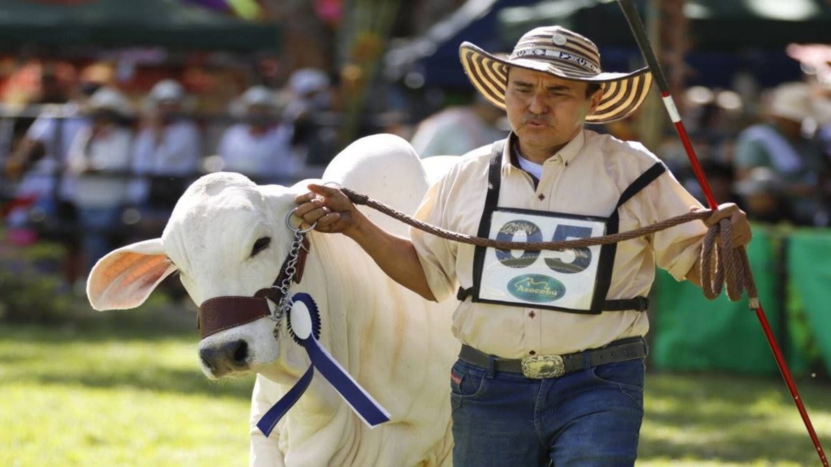 Feria Agropecuaria e Industrial en Ibagué | Suspensión Feria Agropecuaria | Orden Público | Junio 2026
