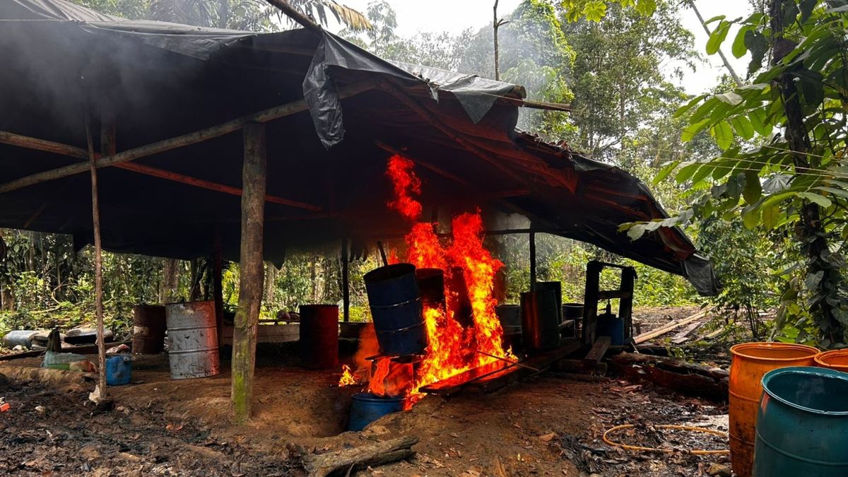 Laboratorios destruidos en Chocó.