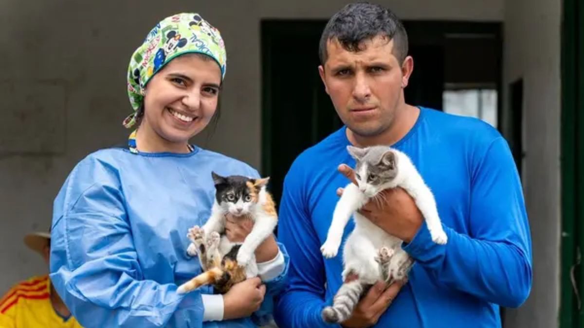 Atención veterinaria en Santander
