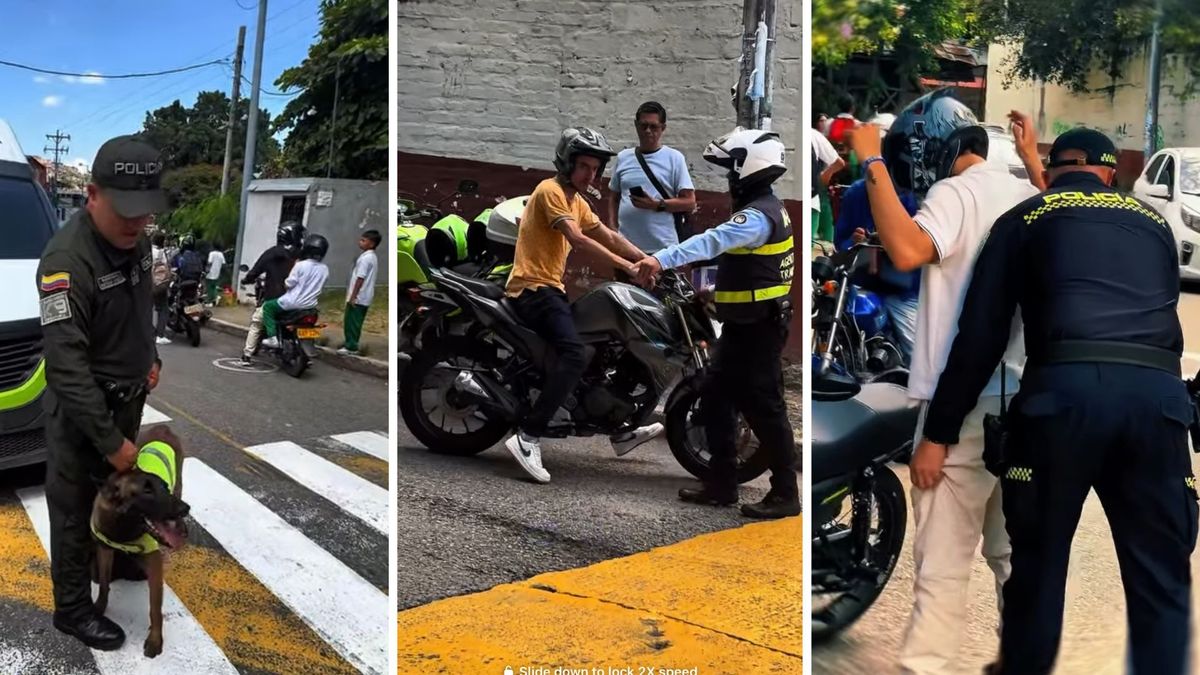 Seguridad en entornos escolares de Floridablanca
