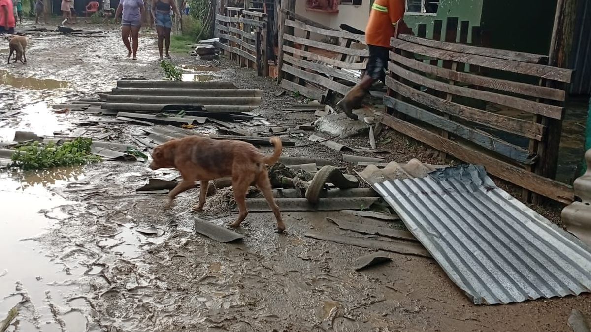 Afectaciones en Malagana, corregimiento del departamento de Bolívar