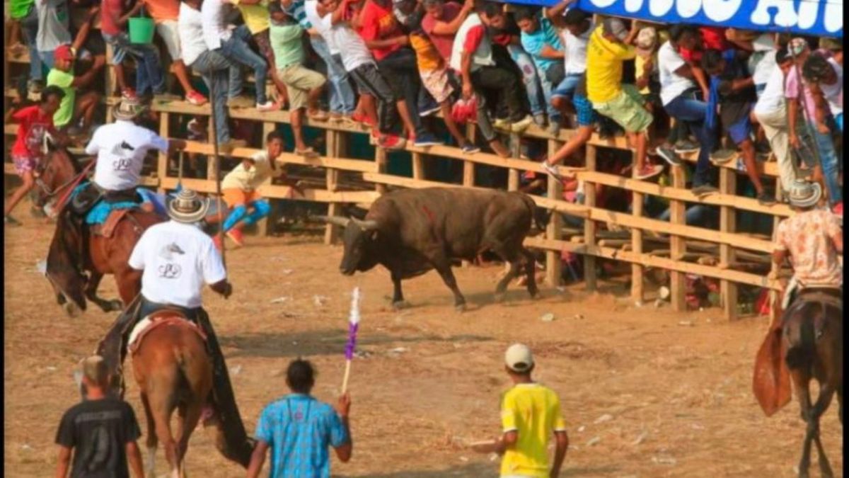Corralejas en Antioquia.