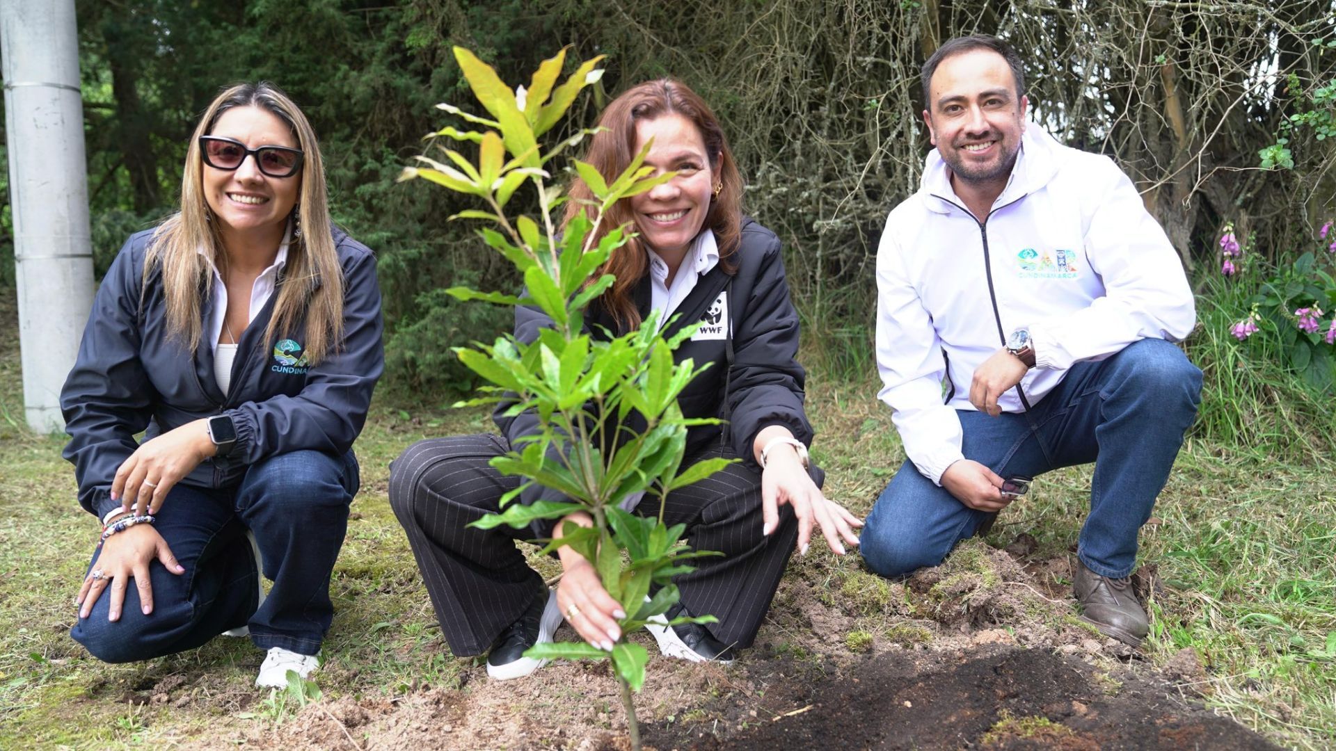 ¿Dónde quedará el primer jardín botánico de ecosistemas de alta montaña en Cundinamarca?