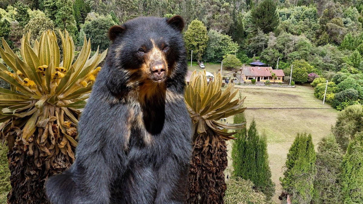 Primer jardín botánico andino de Cundinamarca estará en Tausa