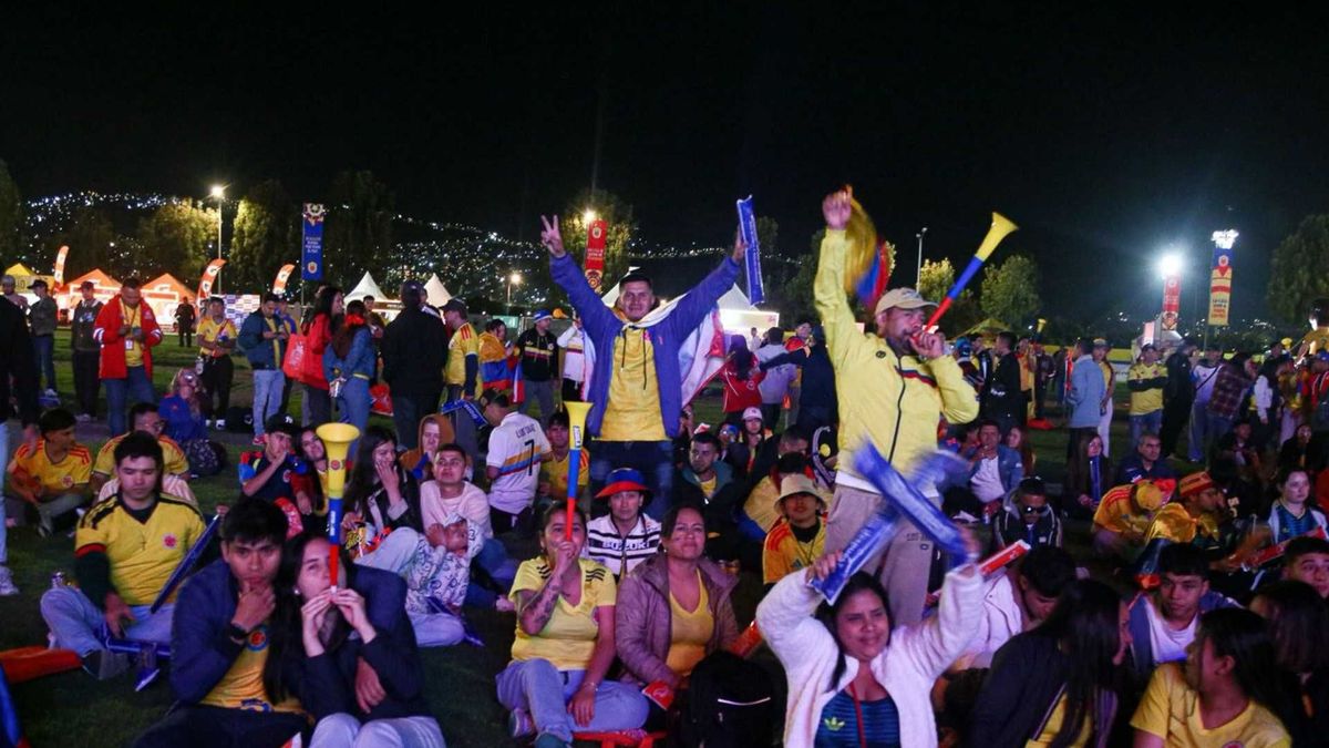 Hinchas disfrutan de la selección Colombia