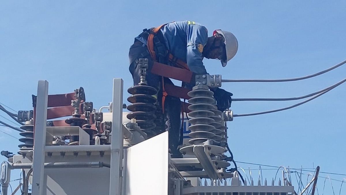 Técnico de Afinia