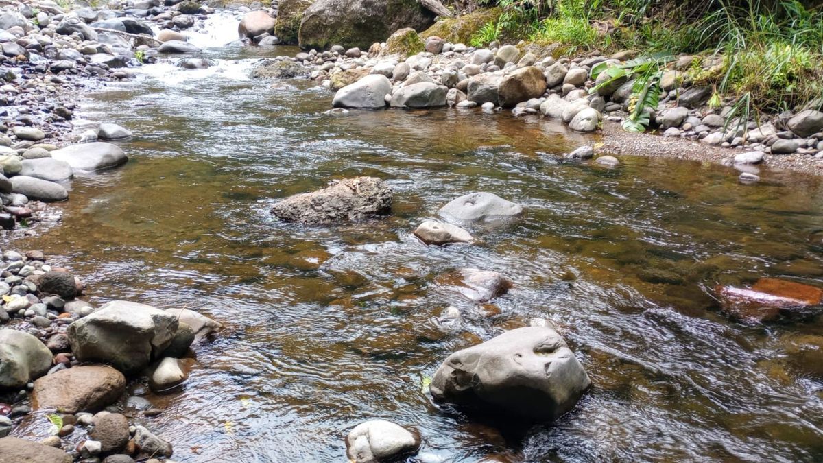 Acueductos de Risaralda pierden más del 70% del agua y aumentan las alertas por una eventual temporada de sequía