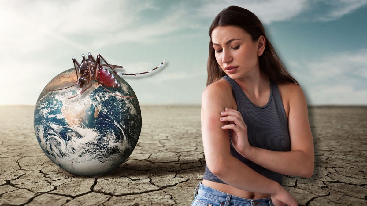 ¿Por qué El Niño puede aumentar los casos de dengue en Colombia?