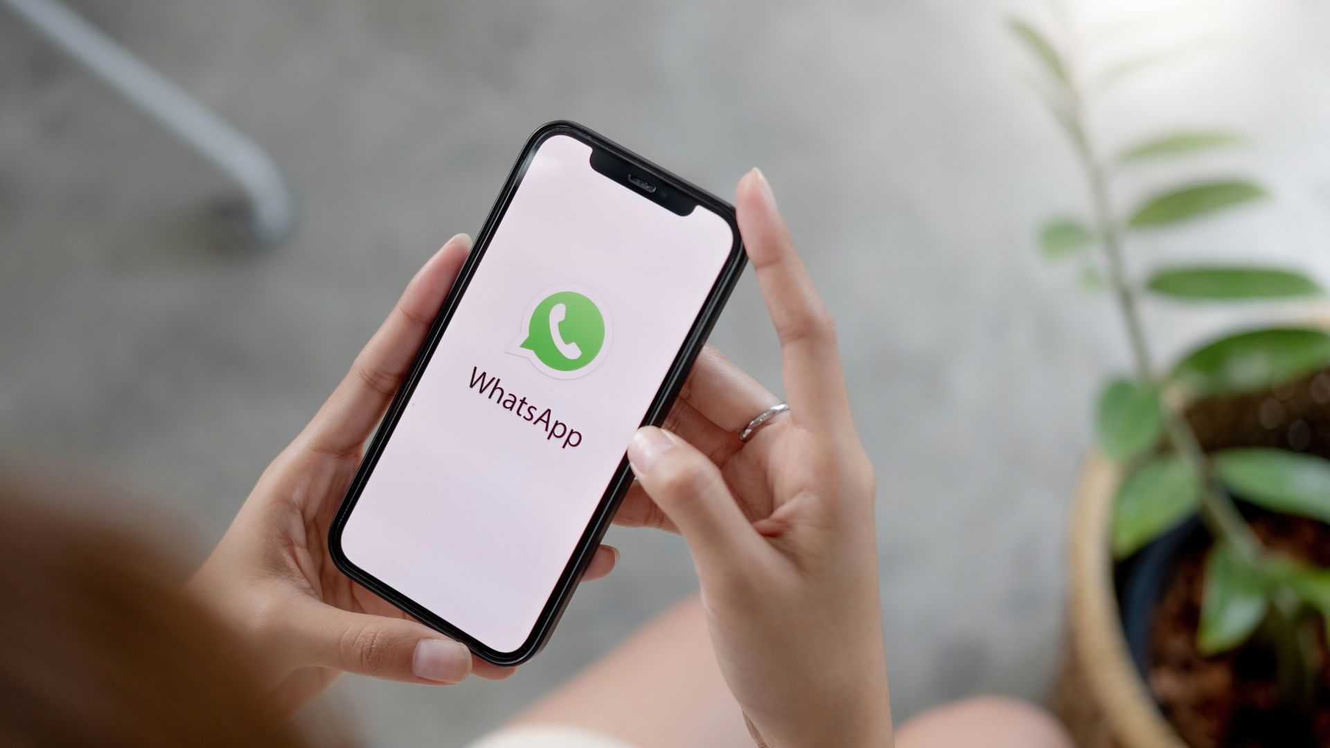 ¿Quién puede ver el nombre de usuario de WhatsApp?