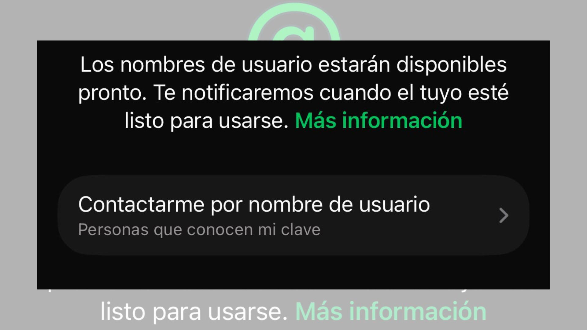 WhatsApp recomienda mantener la aplicación actualizada