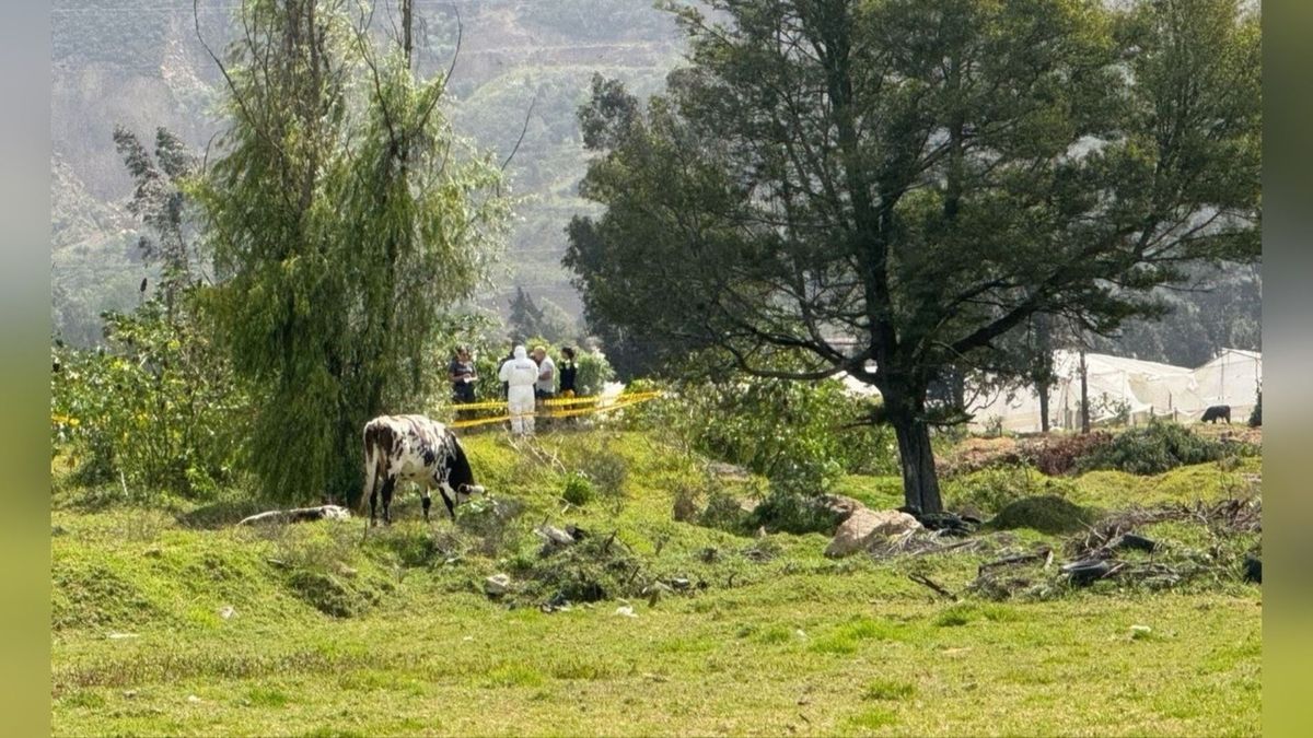 Hallazgo feto en Sogamoso