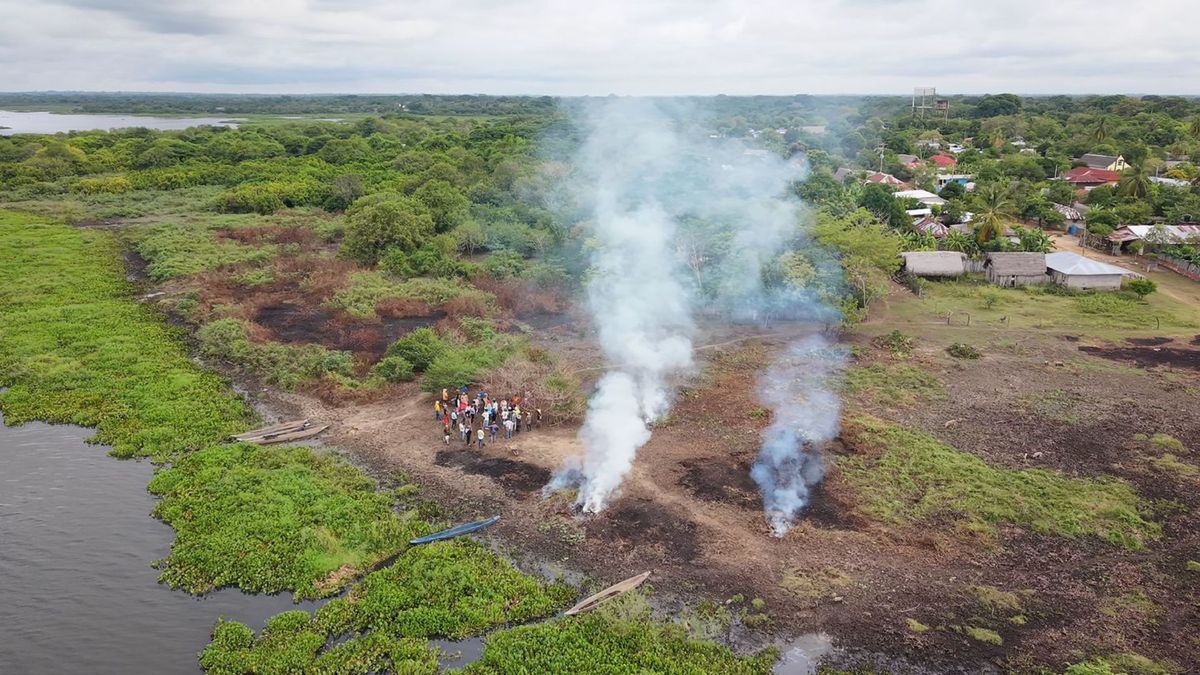 Incendios forestales