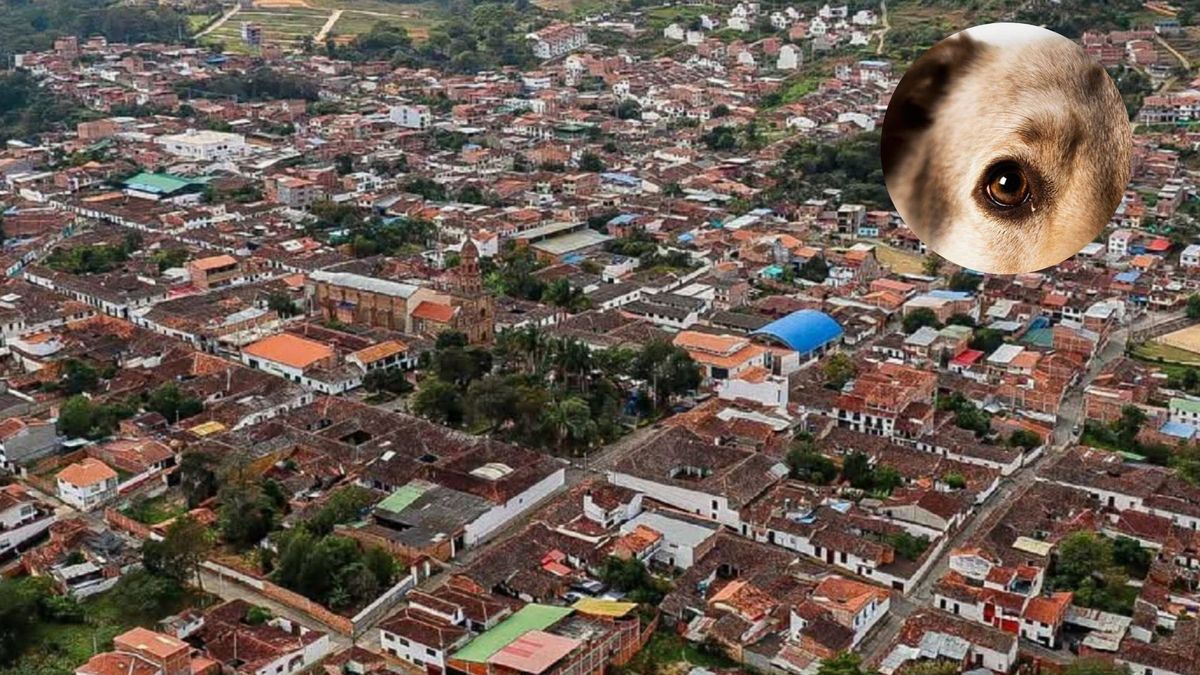 Curití