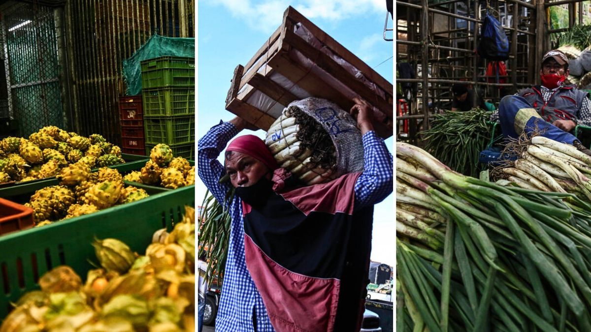 Alimentos que más bajaron de precio en Corabastos este 3 de julio de 2026