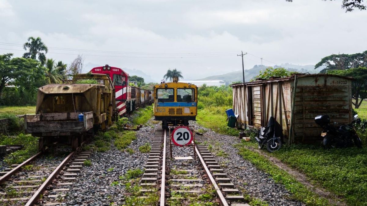 Tren del Café
