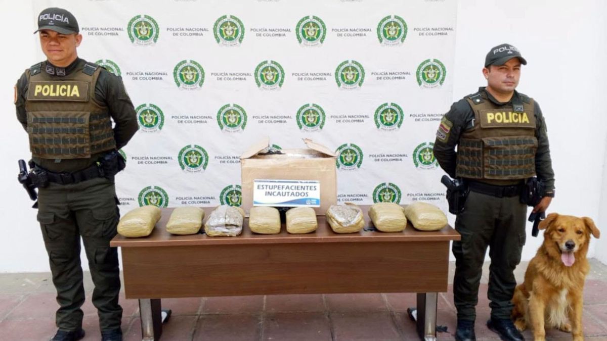Incautación droga