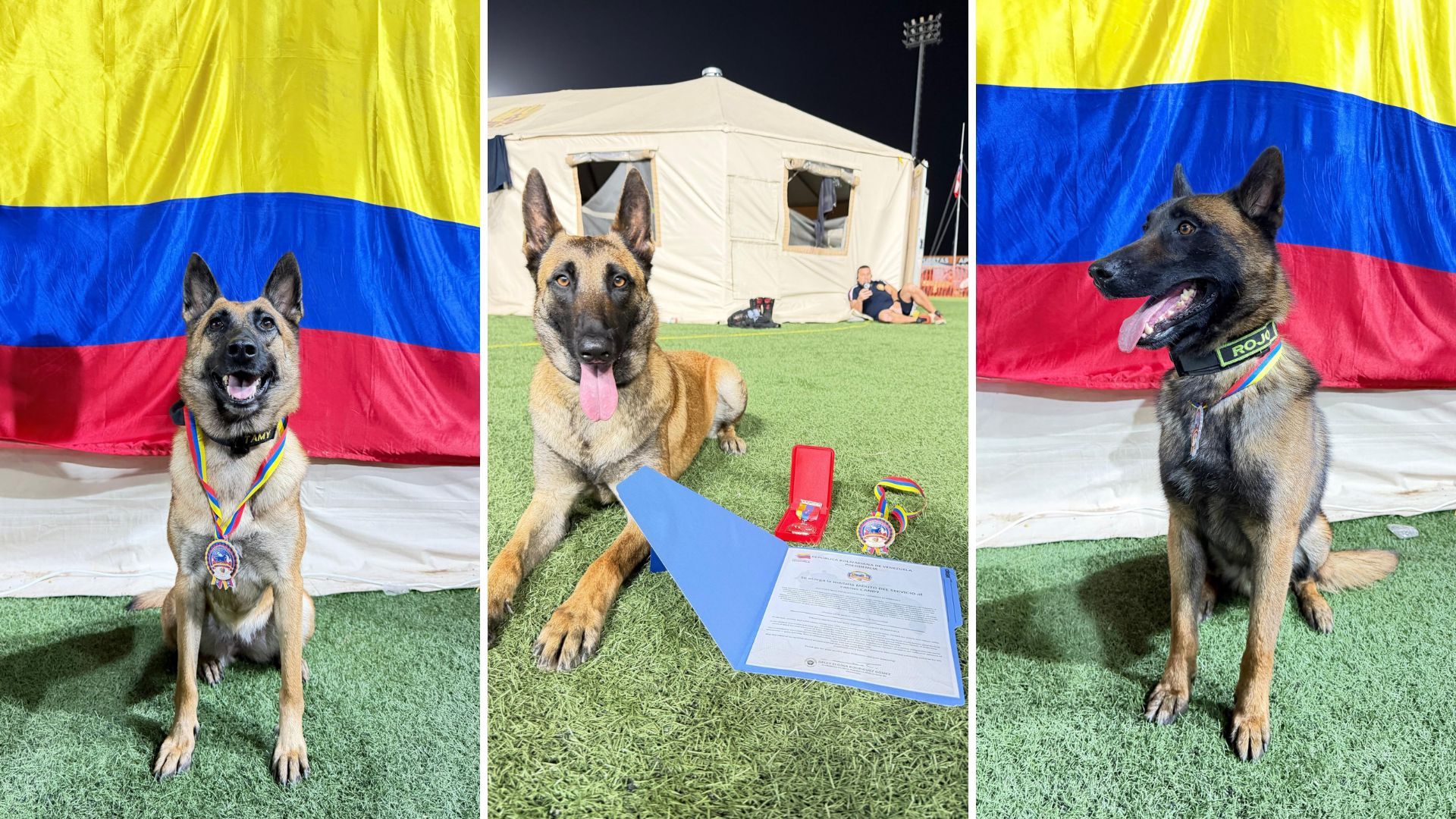 ¿Quiénes son Candy, Rojo, Tamy y Dastan?