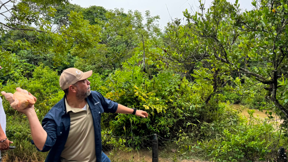 CORMACARENA alimenta caimanes llaneros en Villavicencio