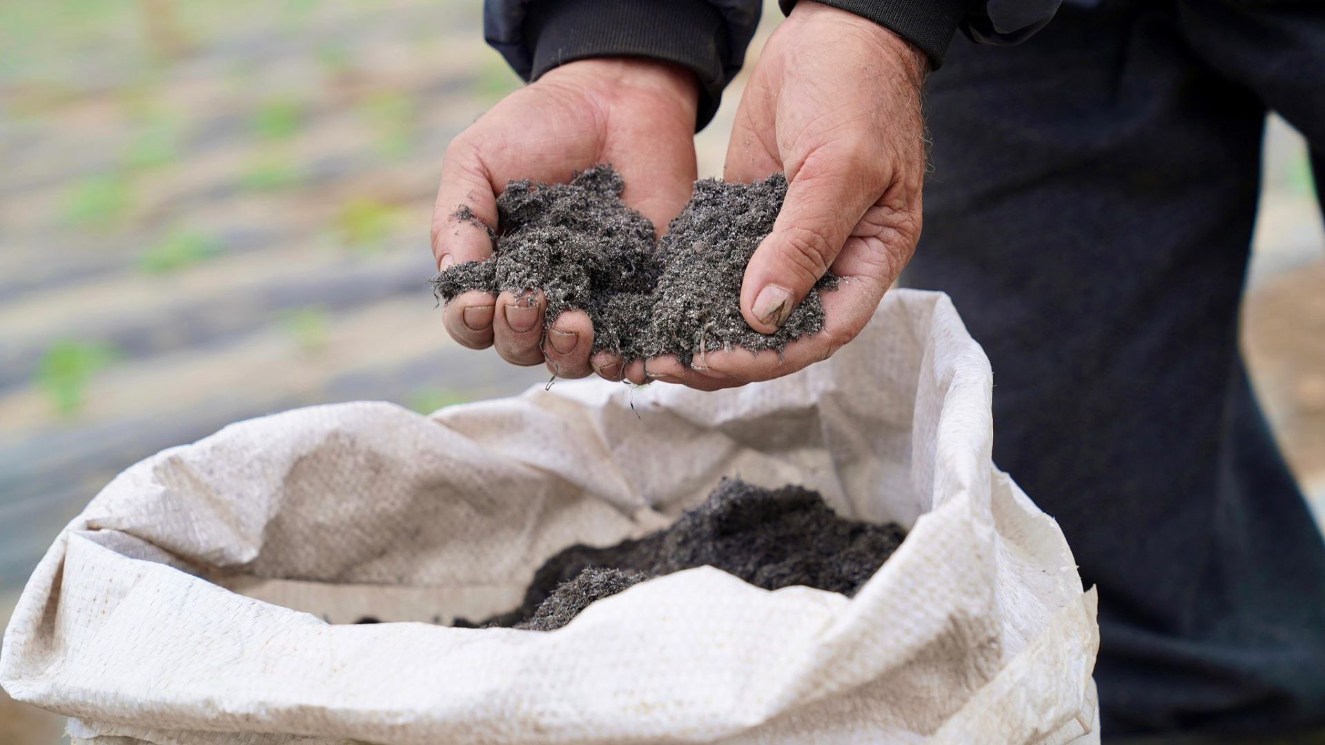 Campesinos recibieron el fertilizante elaborado con buchón de agua