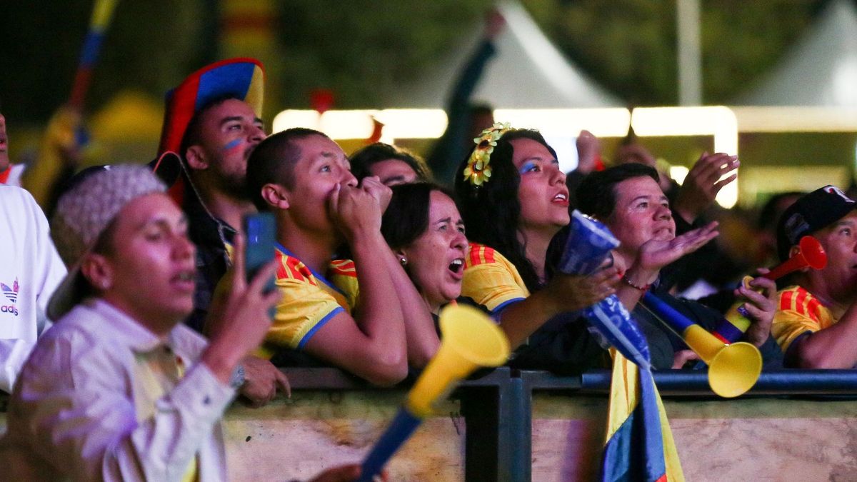 Hinchas viendo a la Selección Colombia