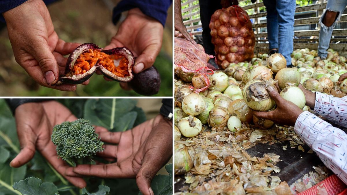 Corabastos, alimentos que más bajaron HOY 7 de julio de 2026
