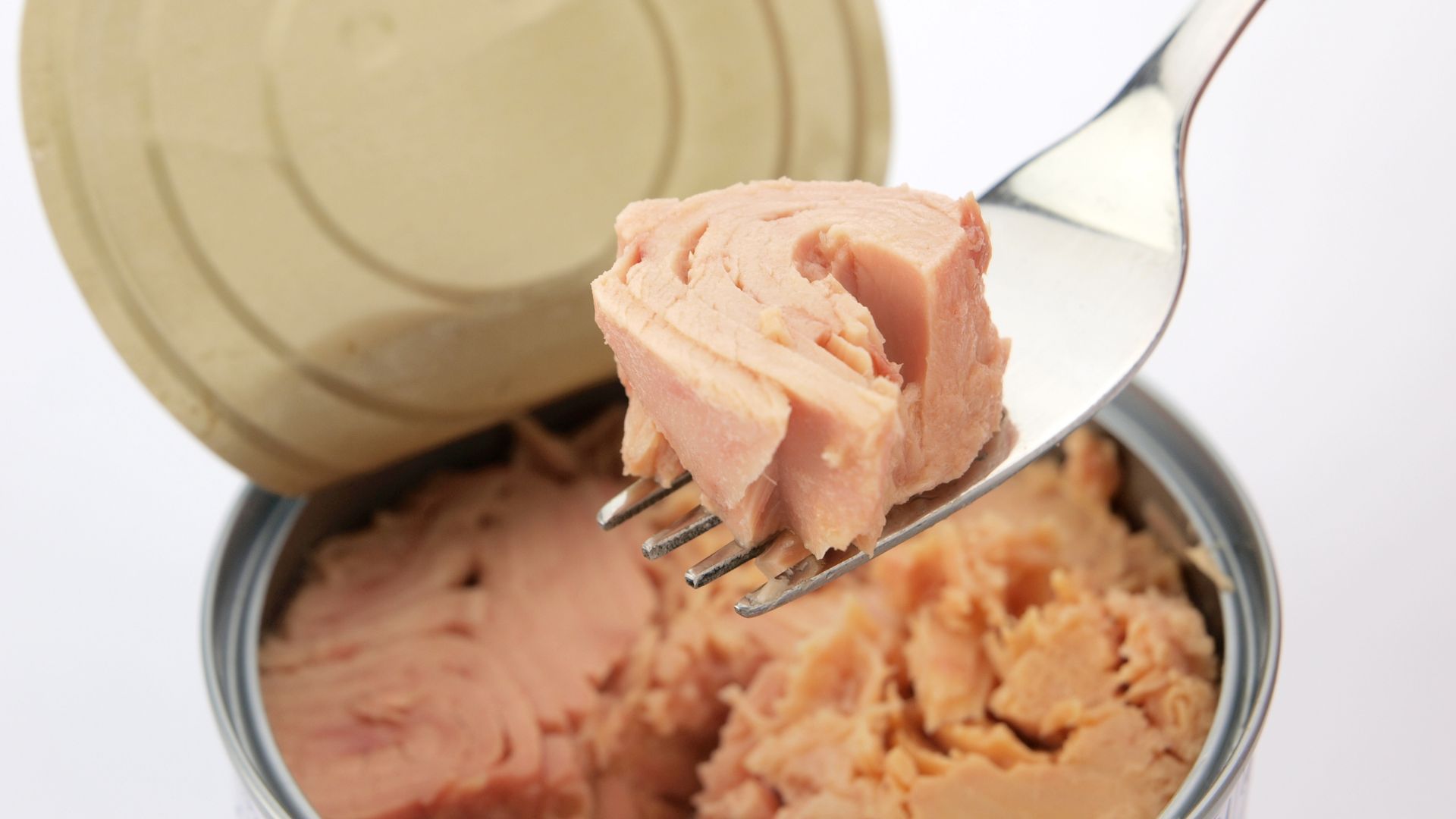 ¿Qué es más saludable: el atún en agua o el atún en aceite?