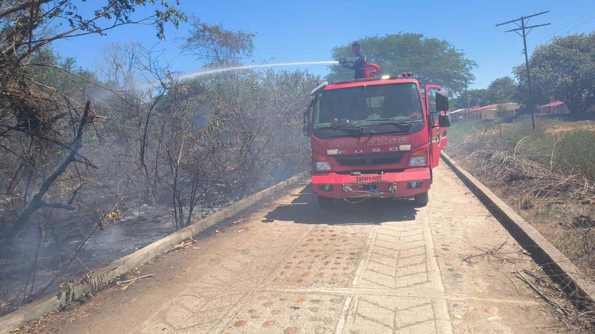 Incendios forestales Tolima | Incendio forestal | Tolima