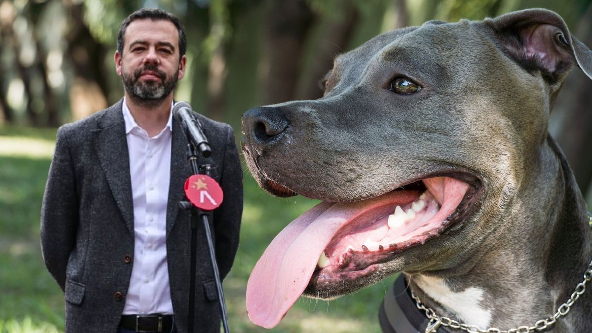 ¿Cómo inscribirse al Semillero PYBA en Bogotá?