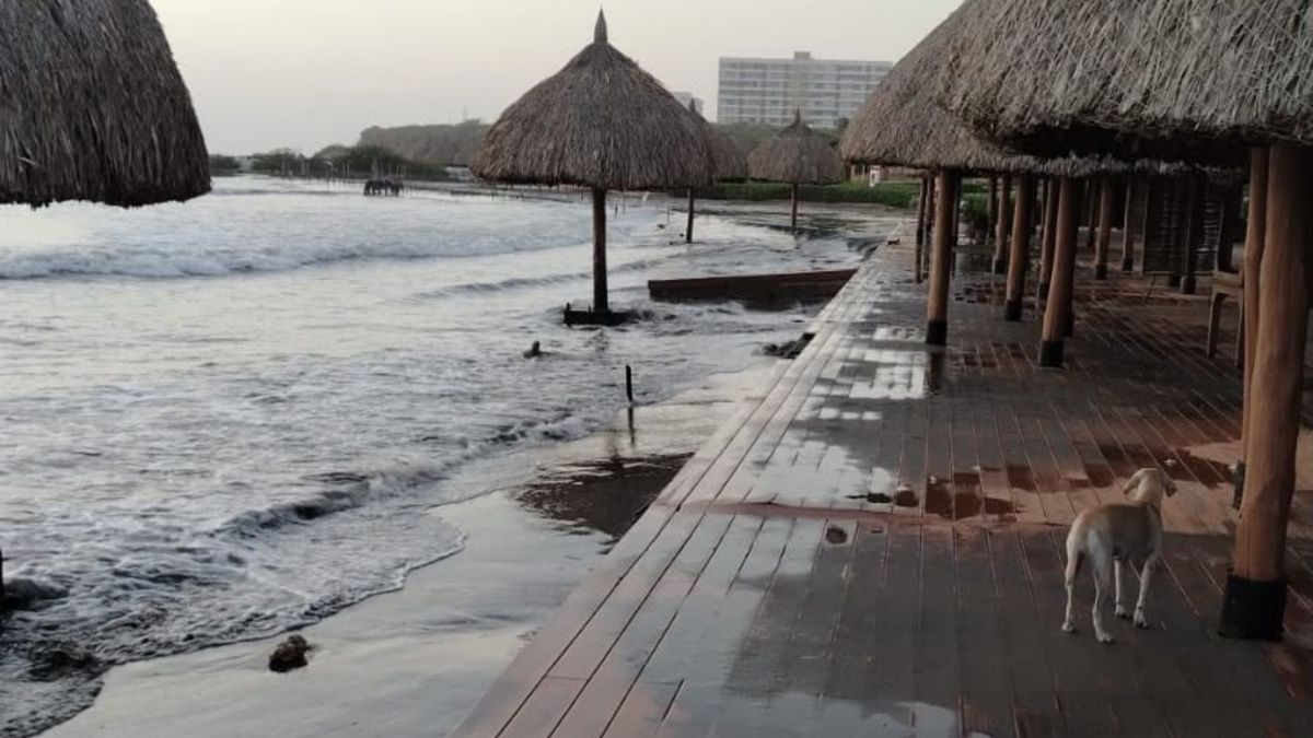 Erosión costera se está tragando las playas de Sabanilla