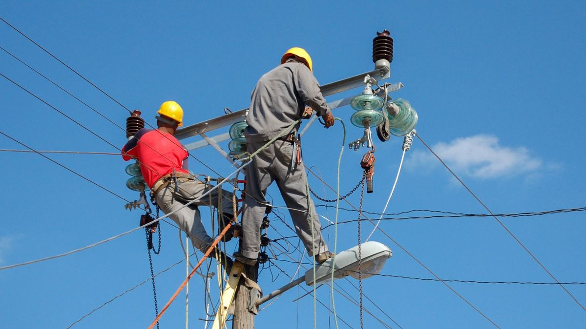 Operarios trabajando en red eléctrica