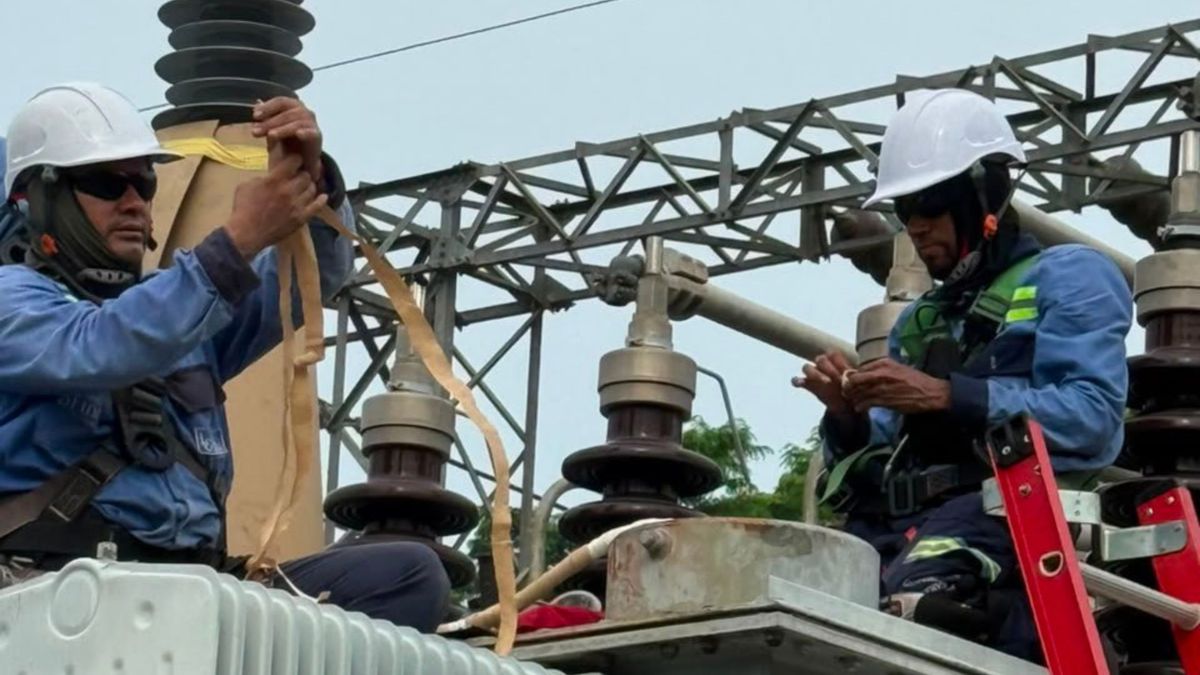 Técnicos de Afinia